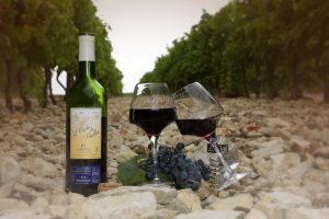 Bonjour tout le monde !